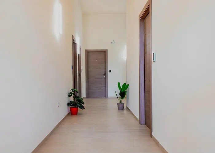 Etesia فيبو فالينتيا