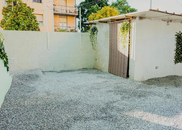 Etesia 维博瓦伦蒂亚